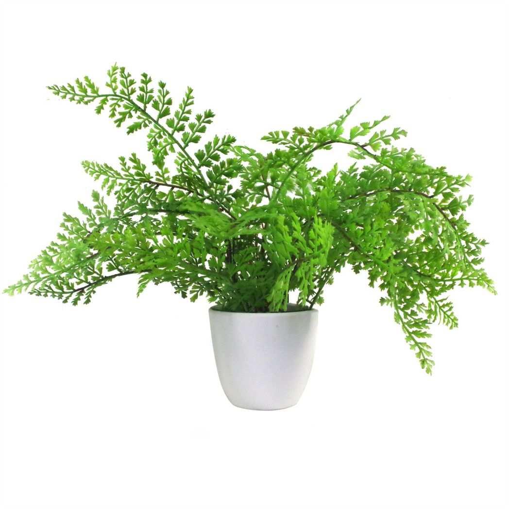 cortex-london-windsor-royal-artificial-fern-plant-30cm