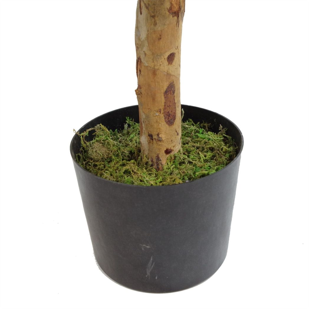 cortex-london-bath-artificial-dracaena-plant-tree-100cm-with-pot