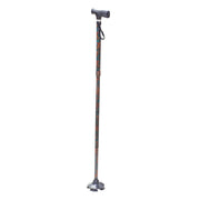 Paisley Walking Cane