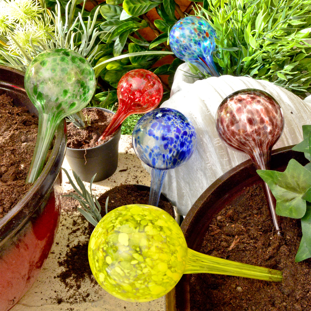 cortex-london-kensington-watering-spheres-set-of-6