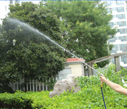 cortex-london-york-high-pressure-water-sprayer
