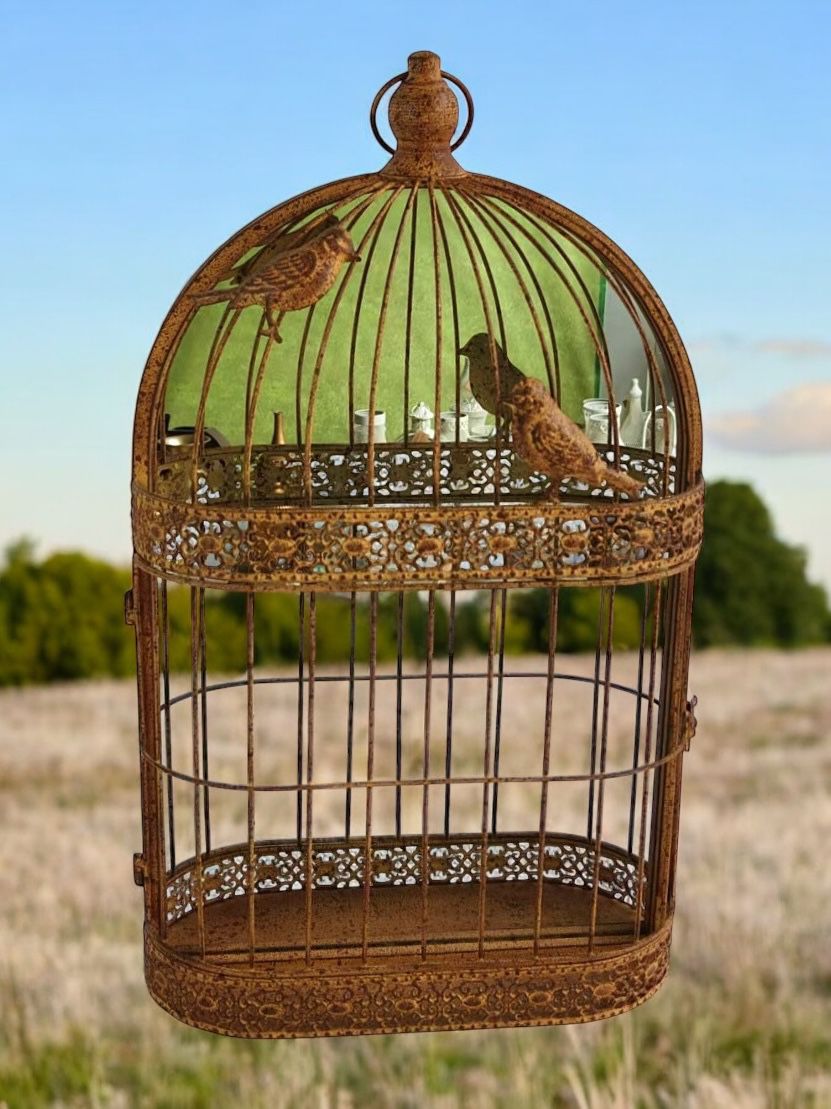 cortex-london-york-rustic-bird-cage-wall-mirror-56cm-rusty-grey-patina-metal-bird-design