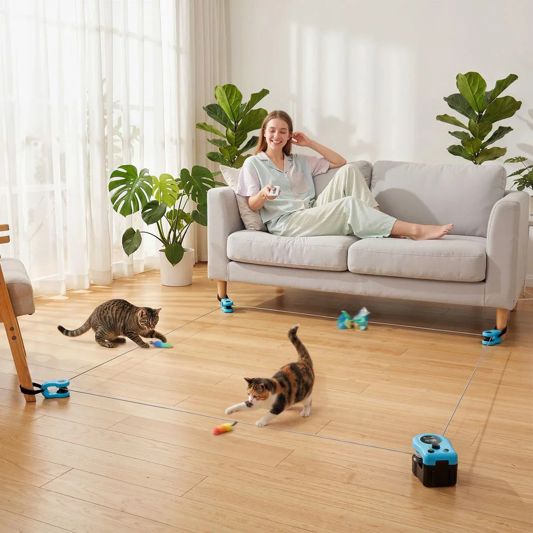 PawHut Interactive Cat Toy for Indoor Kittens & Adult with Adjustable Speed, DIY Track & Mouse Sound
