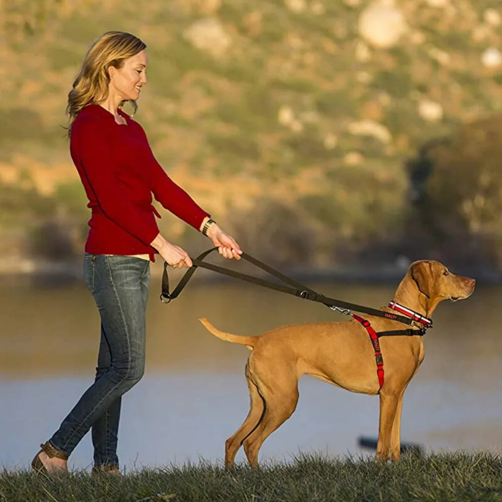 Dog Lead 8ft Adjustable Double ended Control Training Leash-Police Style NEW