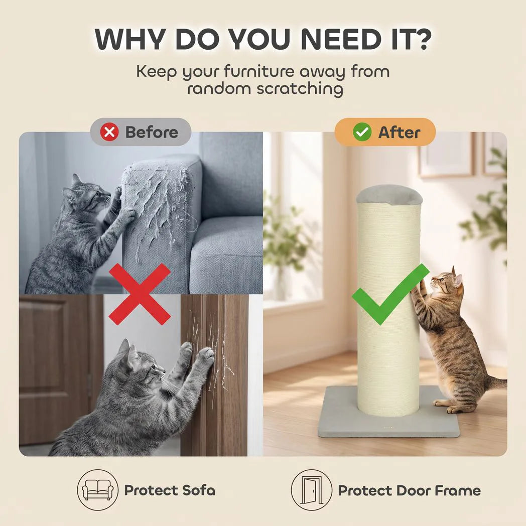 PawHut Cat Scratching Post, 76cm Tall Scratch Post for Indoor Kittens, Cat Scratcher with Stable Base