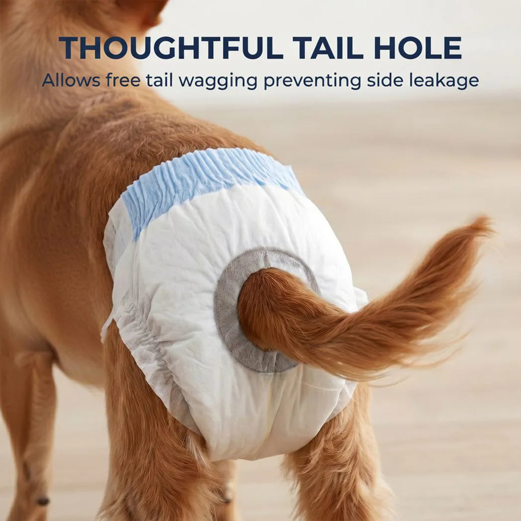 PawHut Disposable Dog Diapers Female for S Dogs Incontinence or Excitable Urination and Training 48 Count