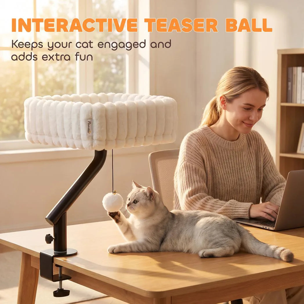 PawHut Cat Desk Bed, Rotatable Raised Cat House for Desk, Window, Soft Kitten Hammock with Hanging Ball, White