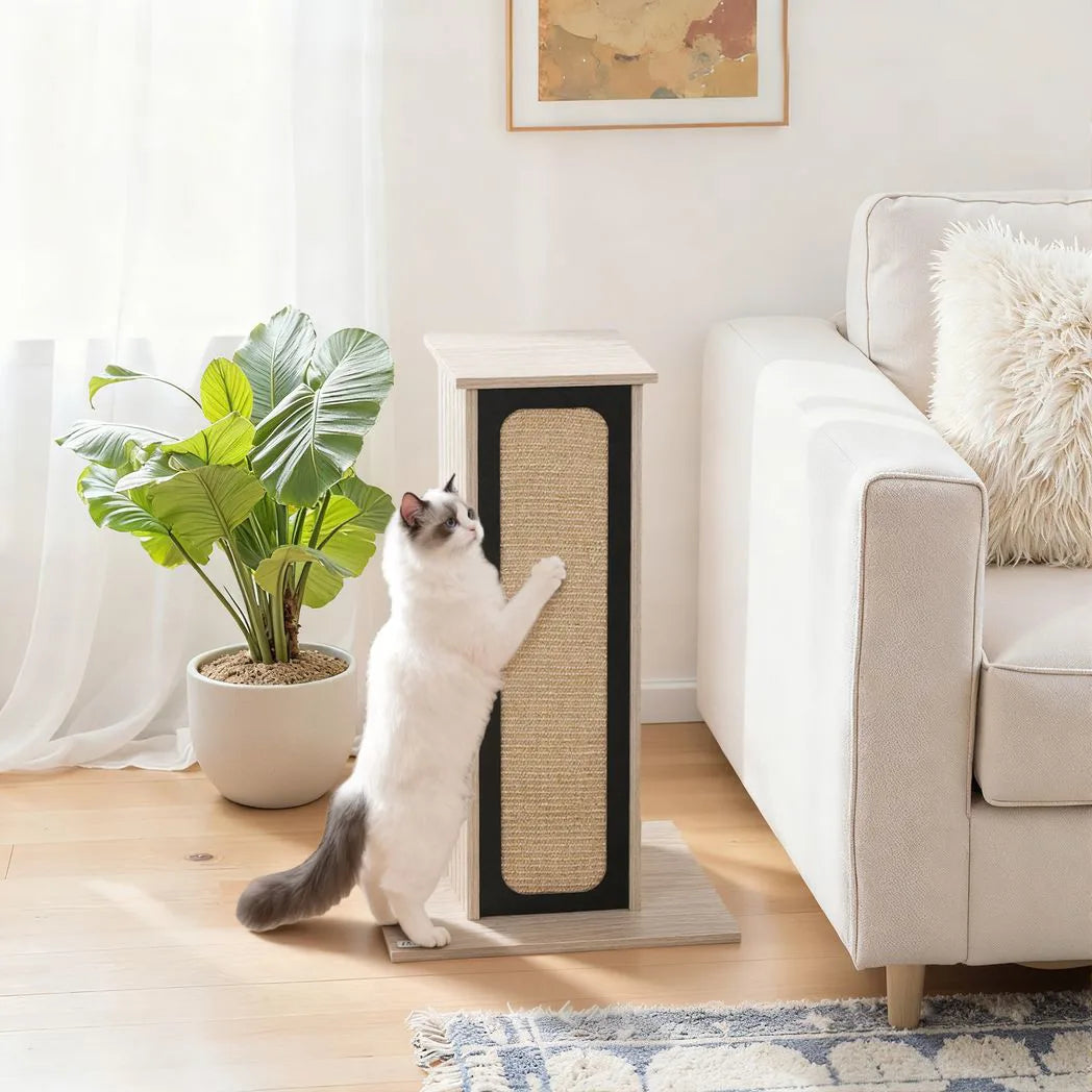 PawHut 63cm Cat Scratching Post, Cat Scratcher with Replaceable Scratching Board, Top Perch, Sisal Scratch Mat, Oak