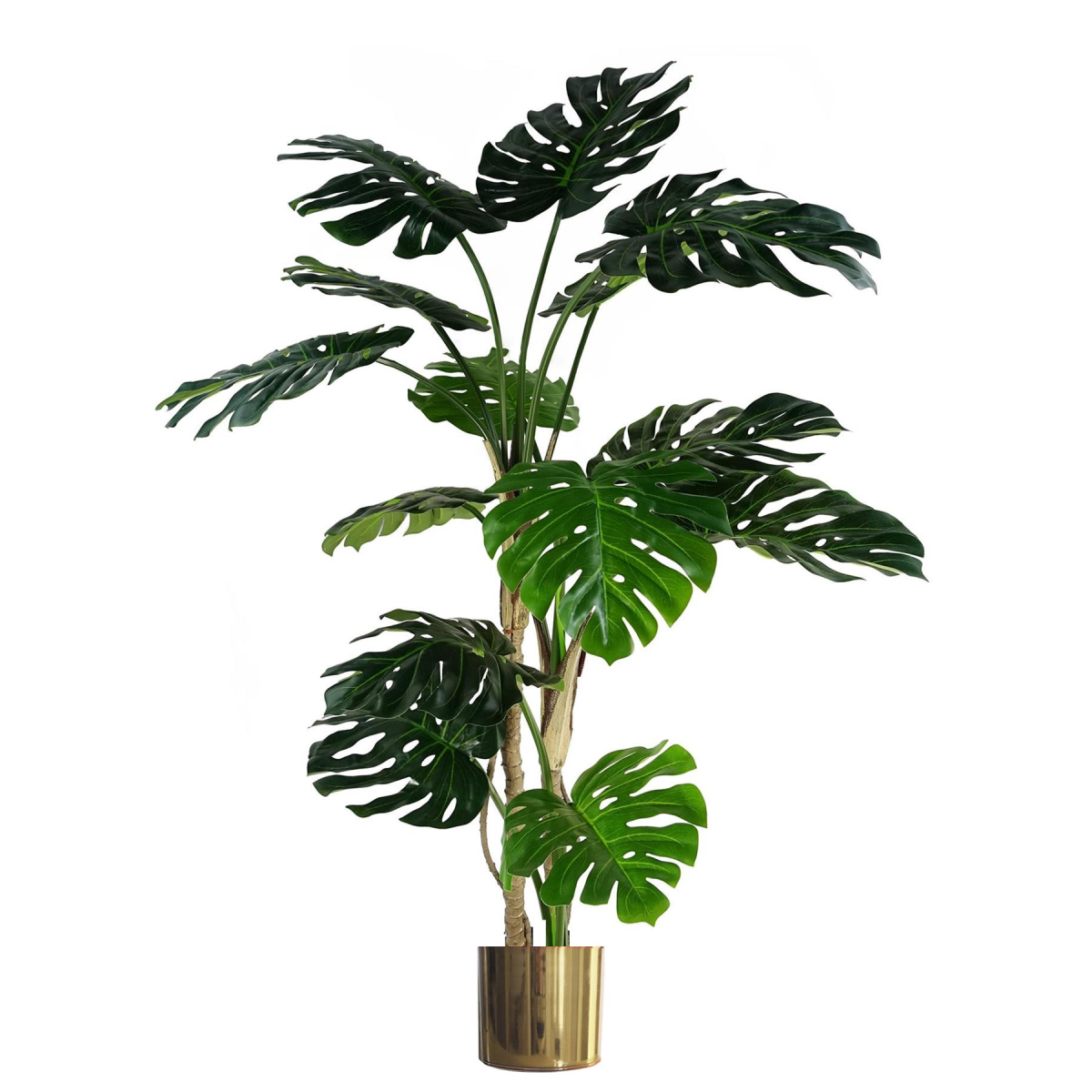 cortex-london-windsor-luxury-monstera-plant-black-pot-gold-metal-planter