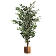 cortex-london-kensington-variegated-ficus-tree-copper-metal-planter