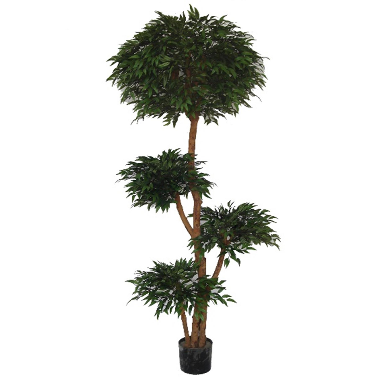 cortex-london-kensington-fire-retardant-ruscus-tree-180cm-4173-leaves