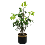 cortex-london-windsor-artificial-banyan-bonsai-ficus-tree-60cm