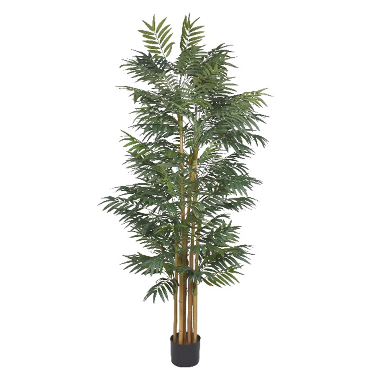 cortex-london-210cm-fire-retardant-phoenix-palm-tree-natural-trunk