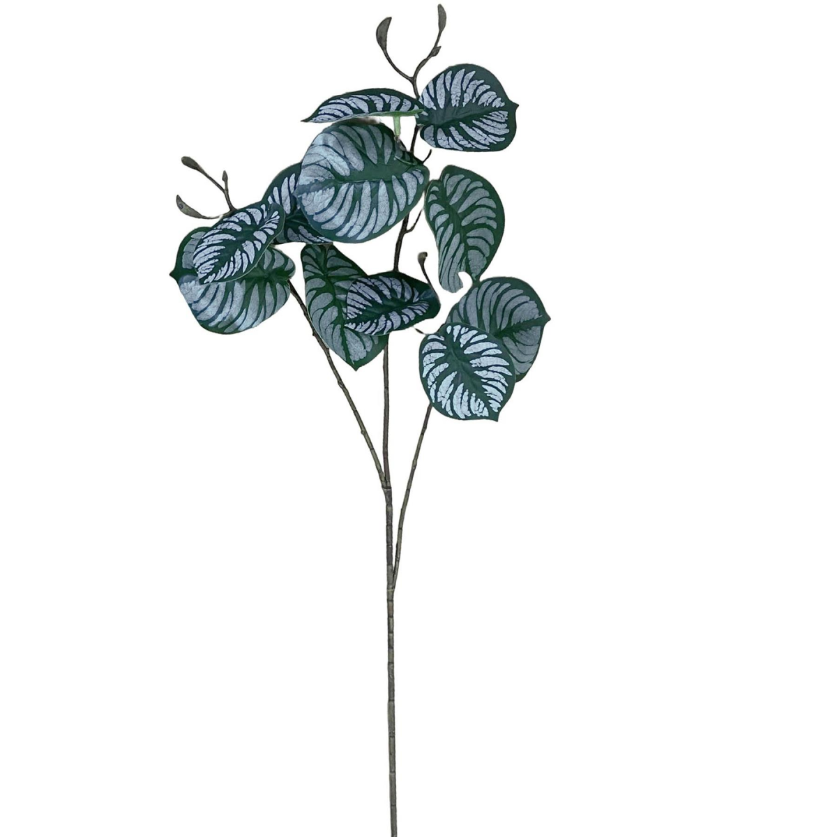 cortex-london-kew-zebra-foliage-70cm-artificial