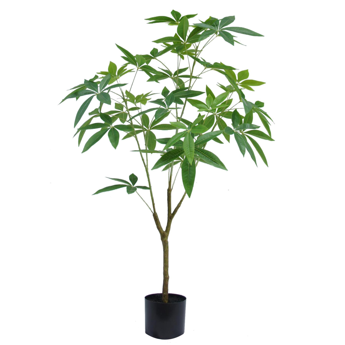 cortex-london-kensington-120cm-artificial-money-plant-pachira-tree-black-plastic-pot