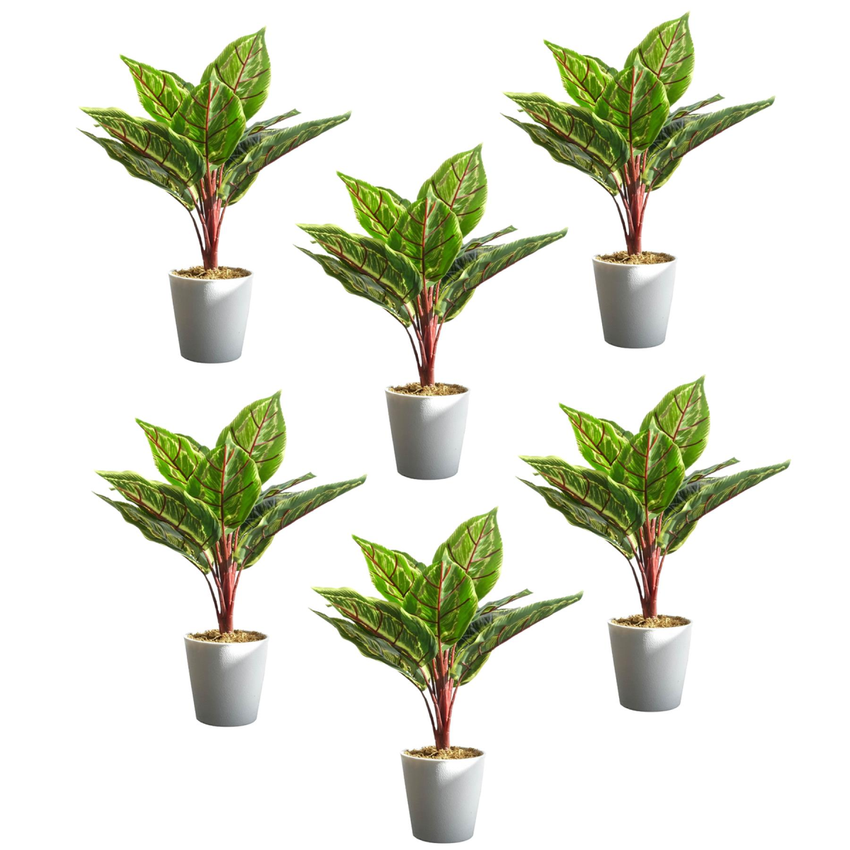 cortex-london-bath-calathea-veitchiane-artificial-potted-plant-pack-of-6-38cm