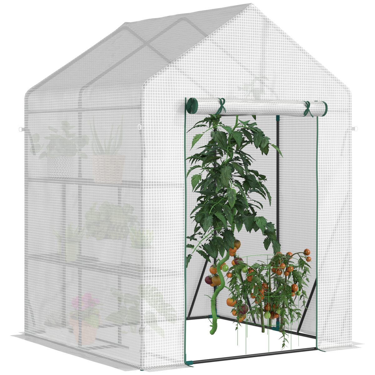 cortex-london-windsor-green-outdoor-greenhouse-143x143x195cm-pe-cover-metal-wire-shelves