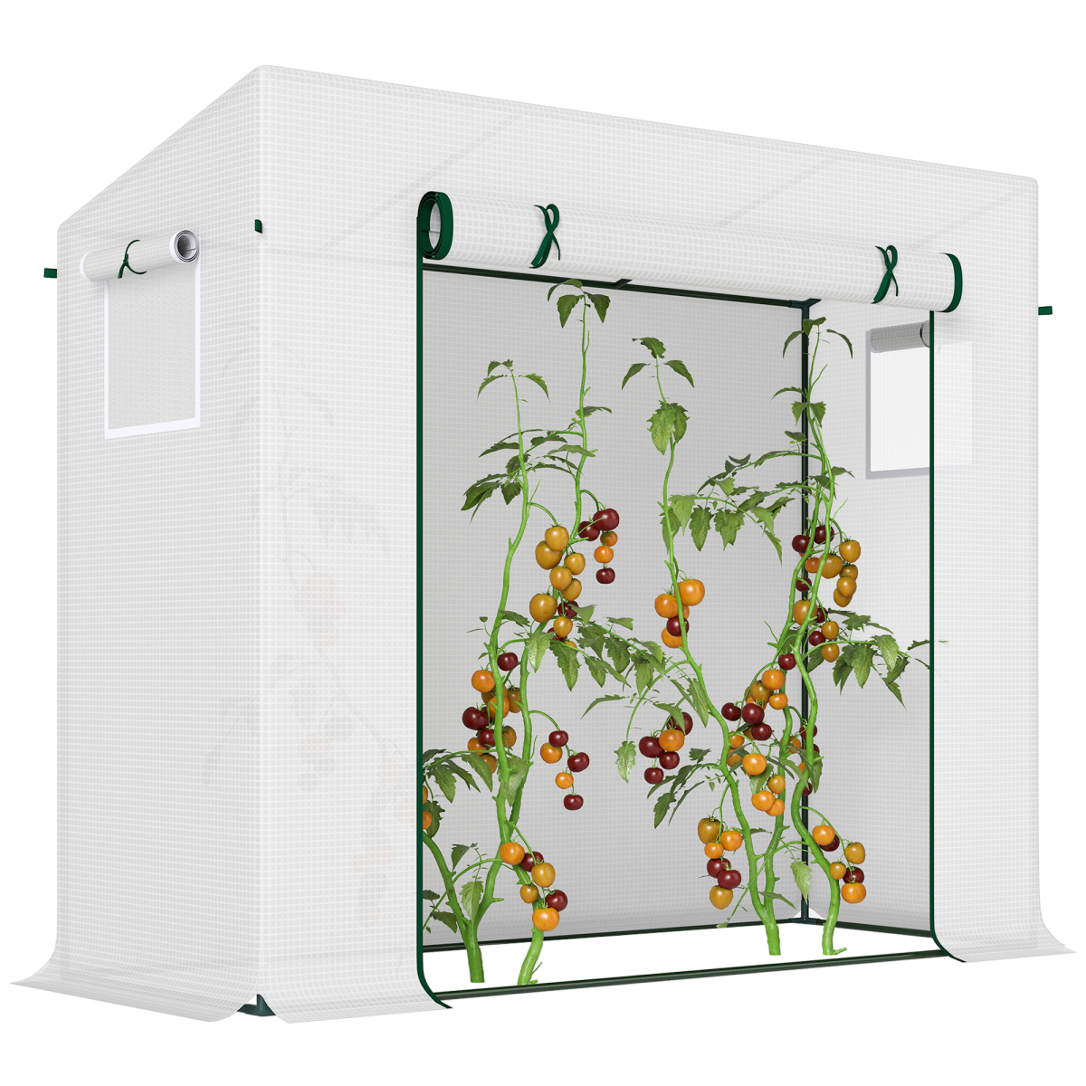 cortex-london-windsor-walk-in-garden-greenhouse-200-76-168cm-green