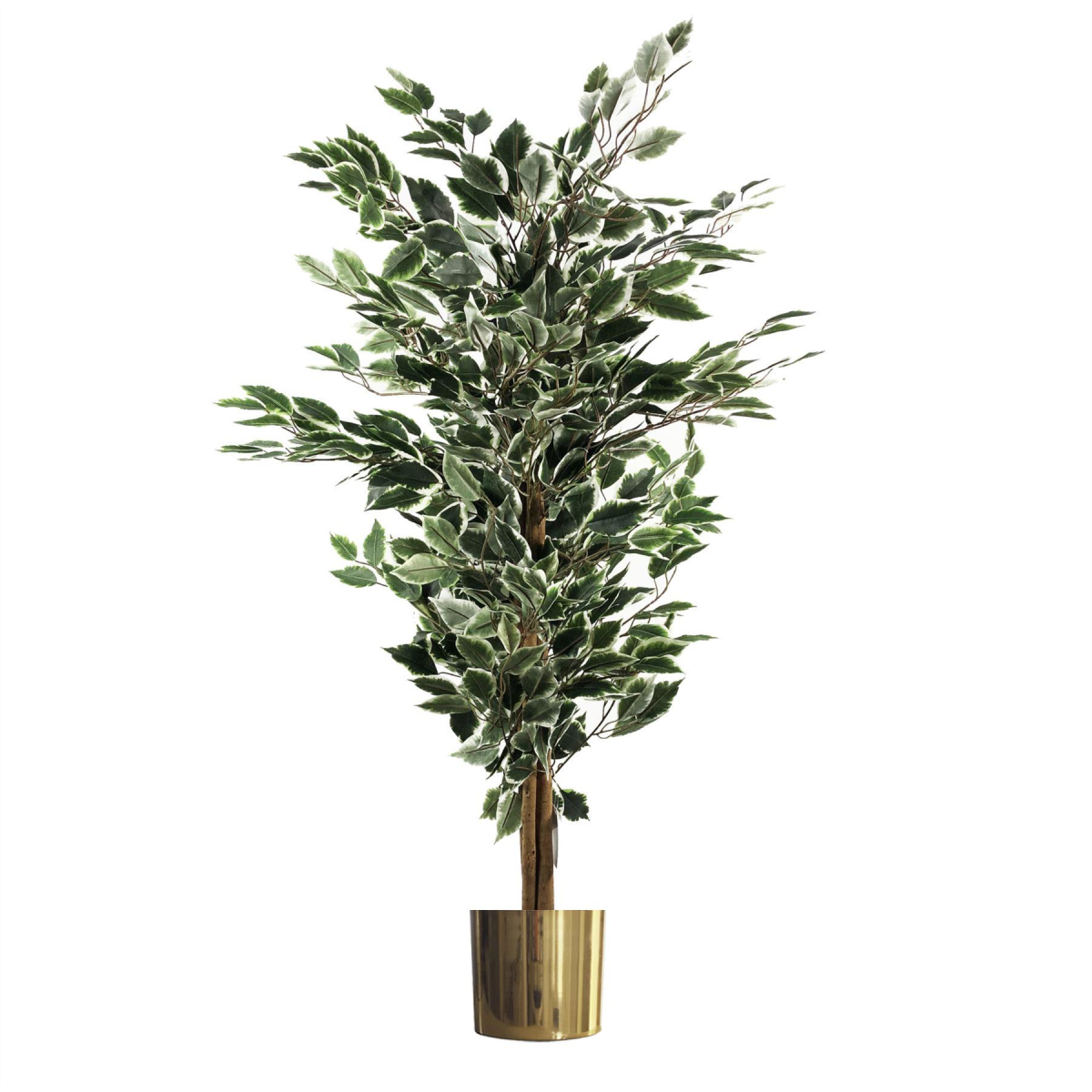 cortex-london-windsor-variegated-ficus-tree-gold-metal-planter-130cm