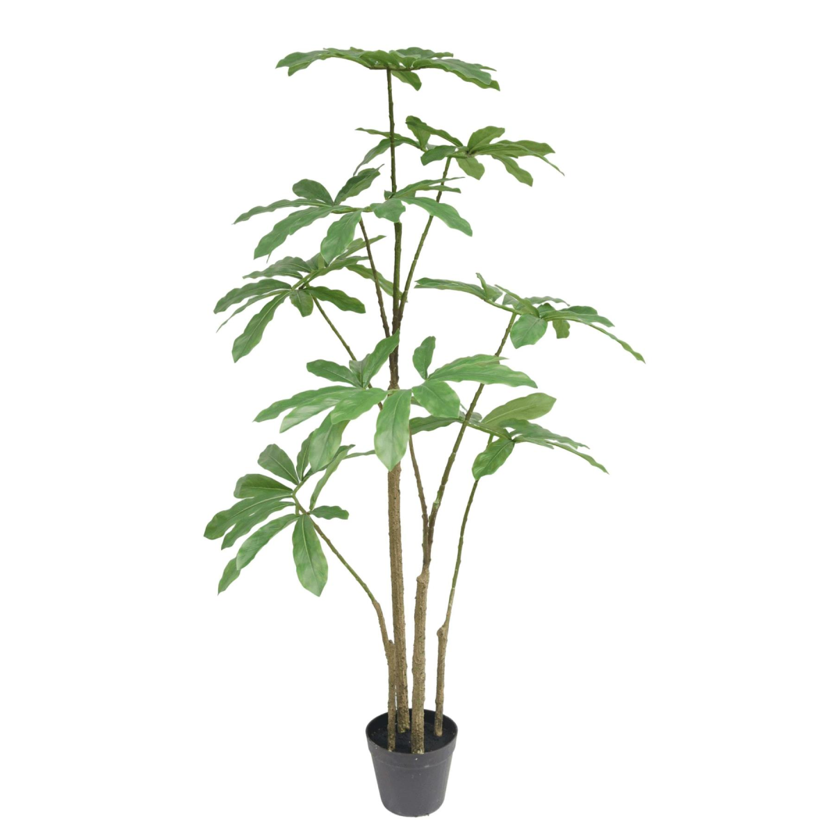 cortex-london-kensington-dwarf-umbrella-realistic-artificial-tree-120cm