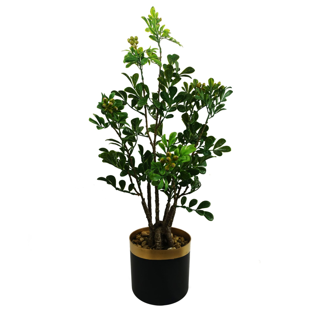 cortex-london-windsor-artificial-aglaia-odorata-bonsai-ficus-tree-60cm