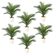 cortex-london-windsor-pack-of-6-50cm-artificial-mini-palm-trees