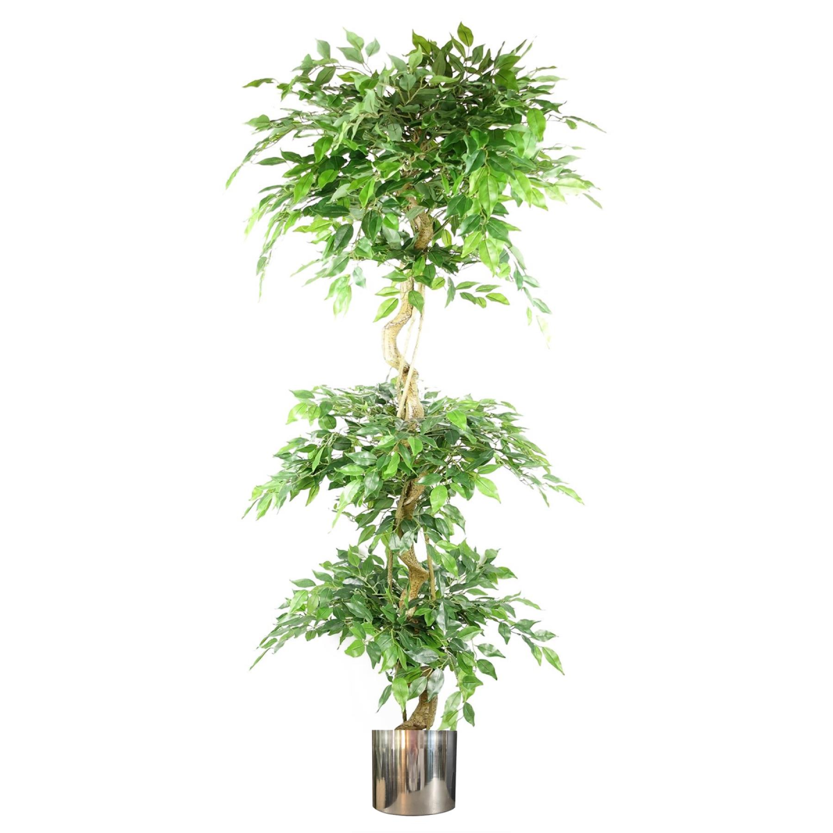 cortex-london-windsor-artificial-ficus-triple-ball-topiary-tree-180cm-1984-leaves-silver-metal-planter