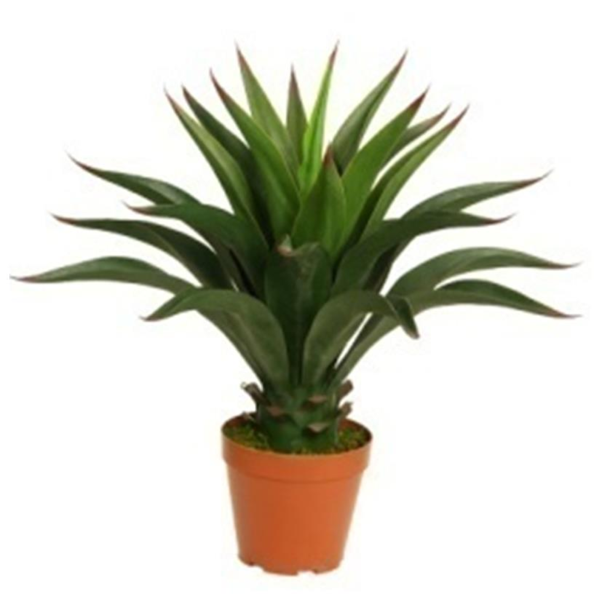 cortex-london-kew-deluxe-artificial-yucca-plant-60cm-black-plastic-pot