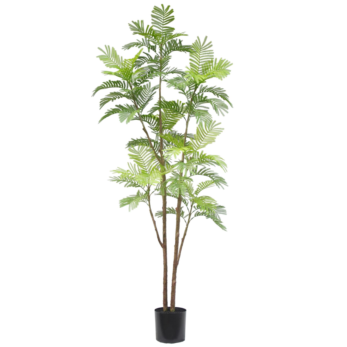 cortex-london-windsor-spiny-date-palm-artificial-tree-210cm-black-pot-green-leaves