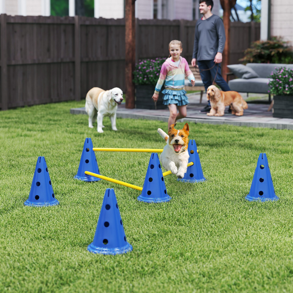cortex-london-windsor-dog-agility-training-set-six-cones-blue-yellow