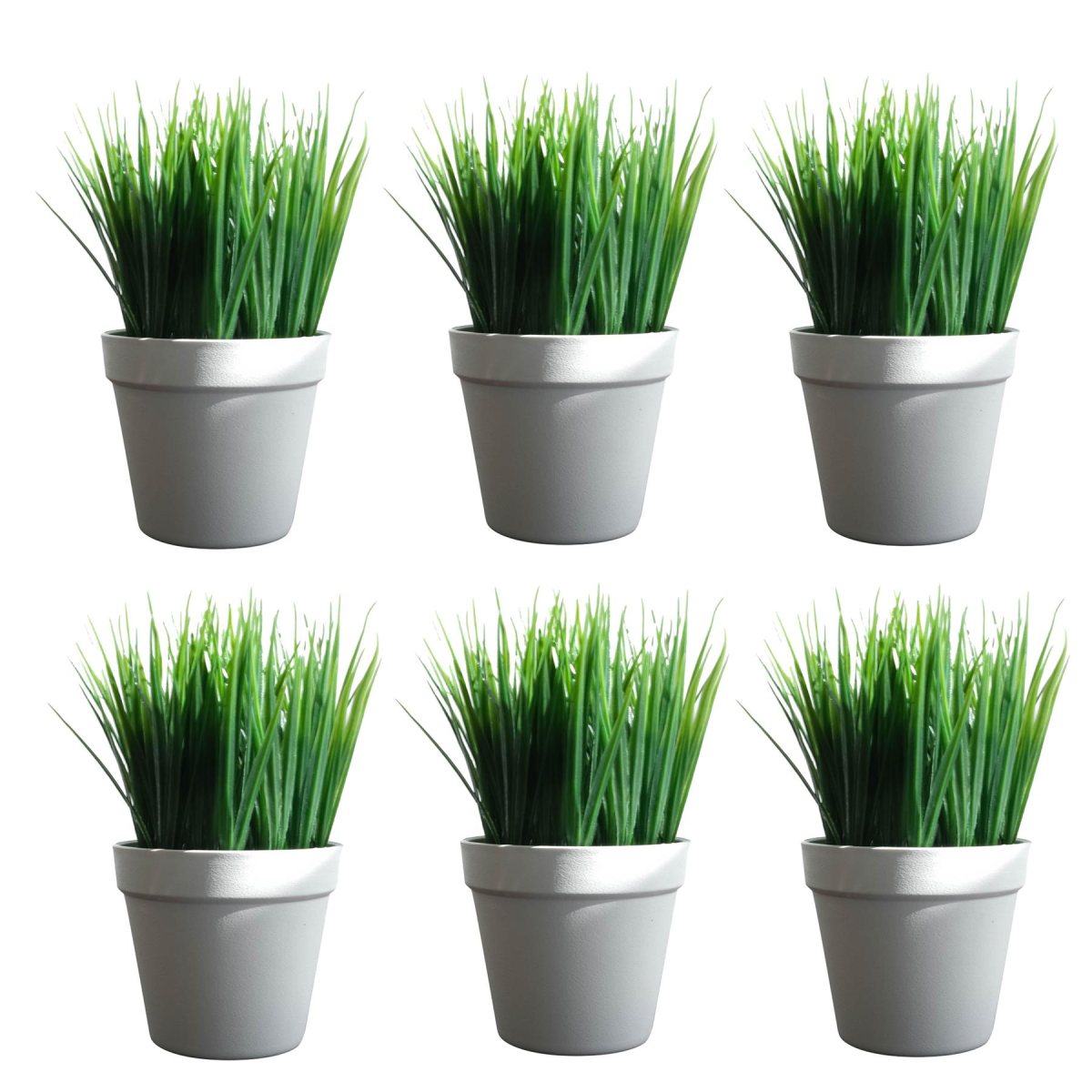cortex-london-windsor-pack-of-6-22cm-artificial-grass-plants