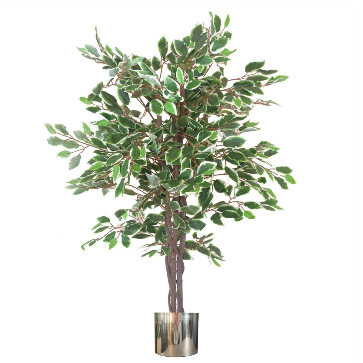 cortex-london-windsor-130cm-white-edge-ficus-artificial-tree-silver-metal-planter