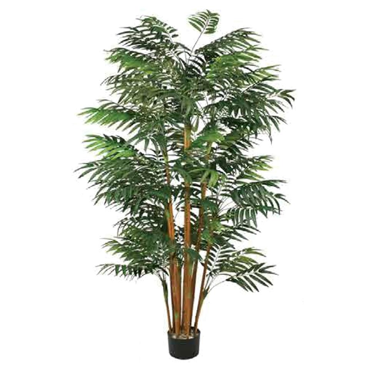 cortex-london-york-bamboo-tree-200cm-fire-retardant-natural