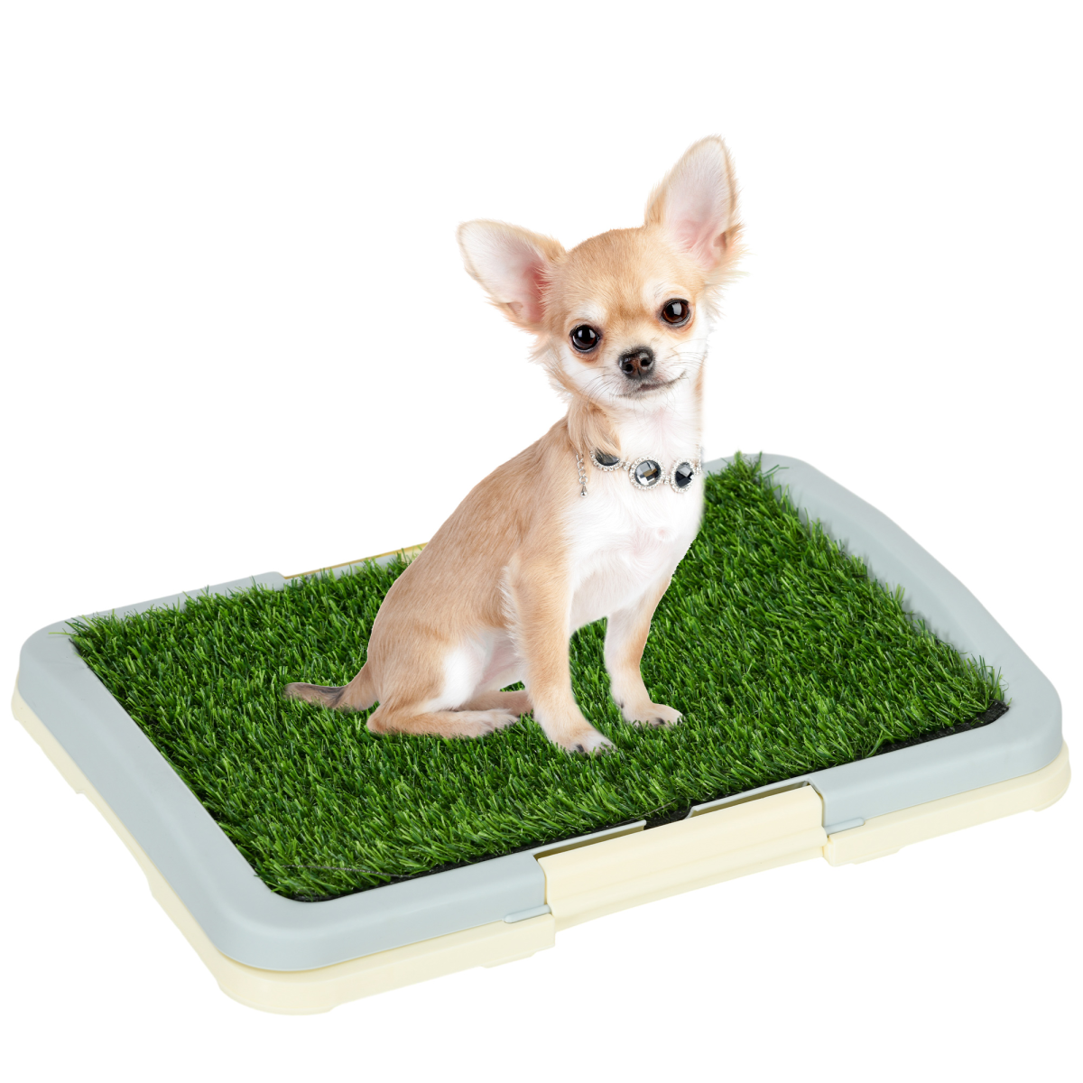 cortex-london-windsor-pawhut-indoor-dog-toilet-artificial-grass-tray