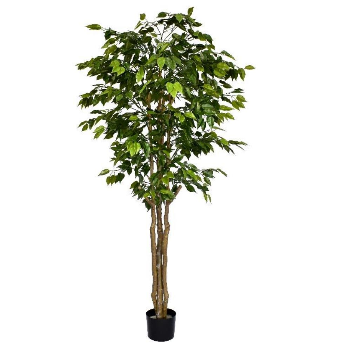 cortex-london-windsor-deluxe-retusa-ficus-tree-180cm-fire-retardant-1134-leaves-plastic-trunk