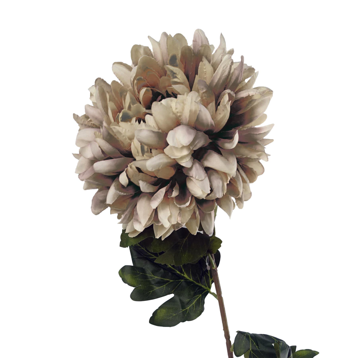 cortex-london-windsor-mushroom-silk-reflex-chrysanthemum-75cm