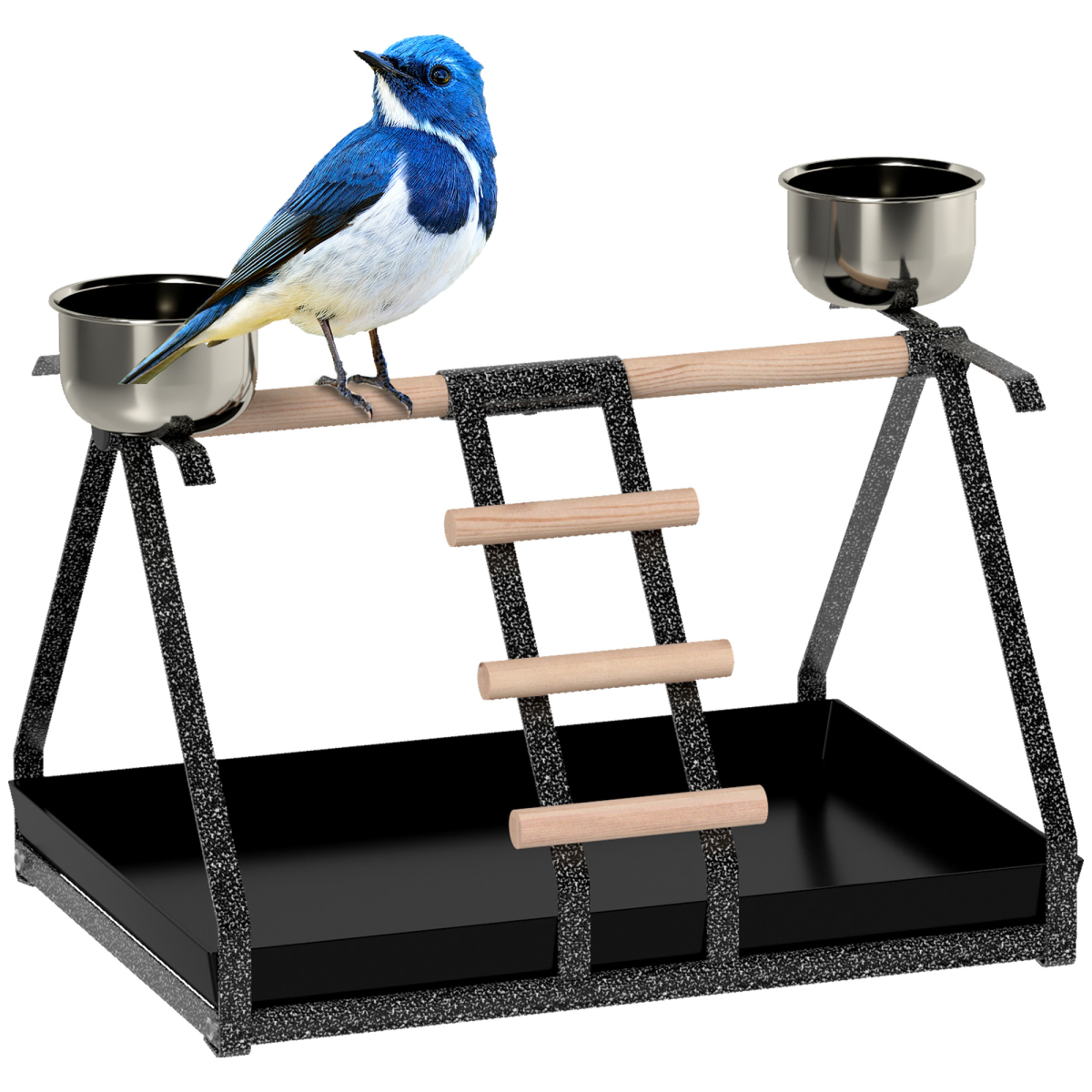 cortex-london-windsor-portable-bird-stand-stainless-steel-base-wooden-perch-ladder-bowls