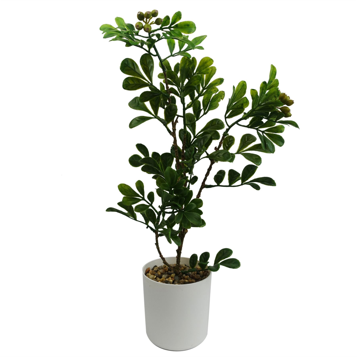 cortex-london-windsor-artificial-aglaia-odorata-bonsai-tree-45cm