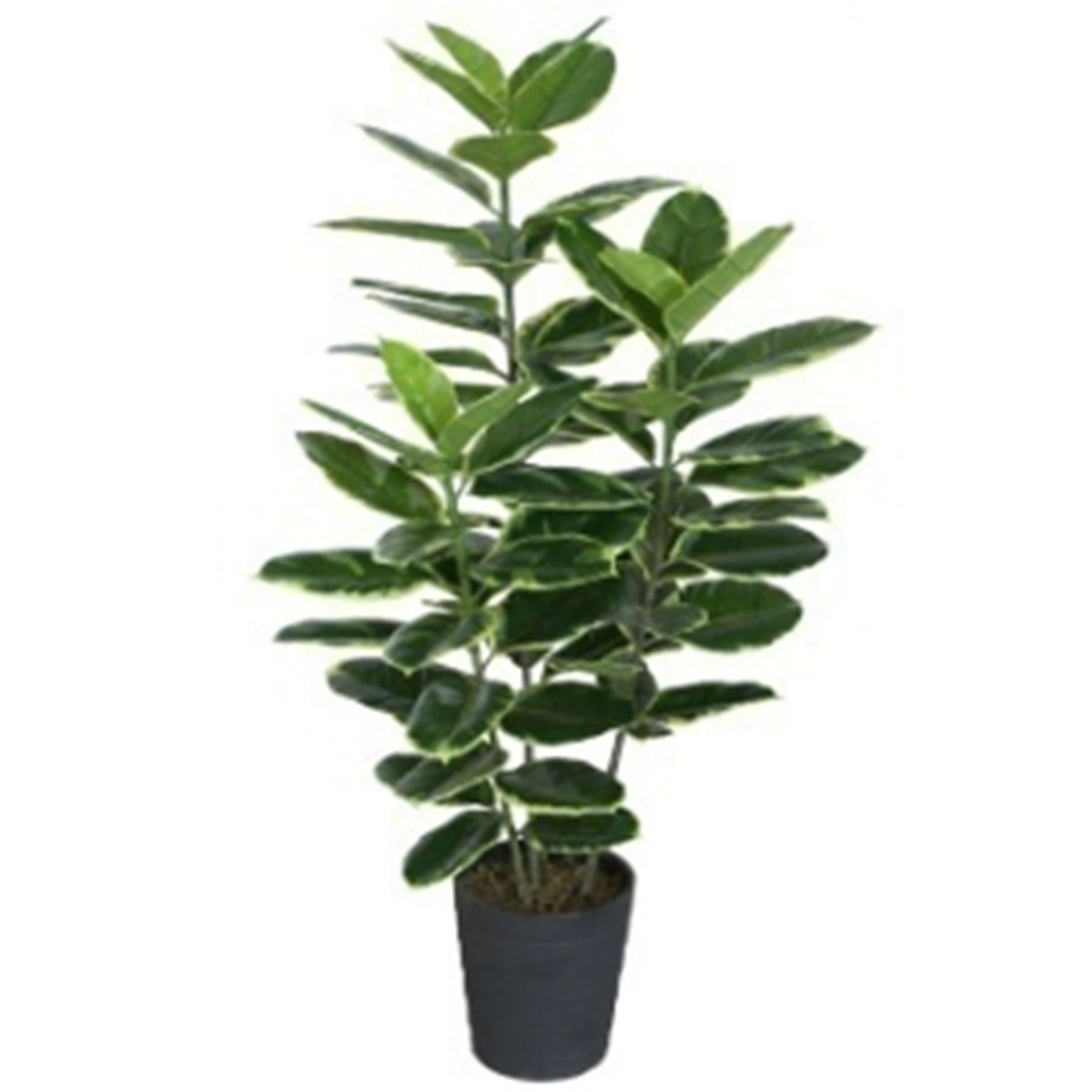 cortex-london-120cm-artificial-rubber-tree-black-plastic-pot