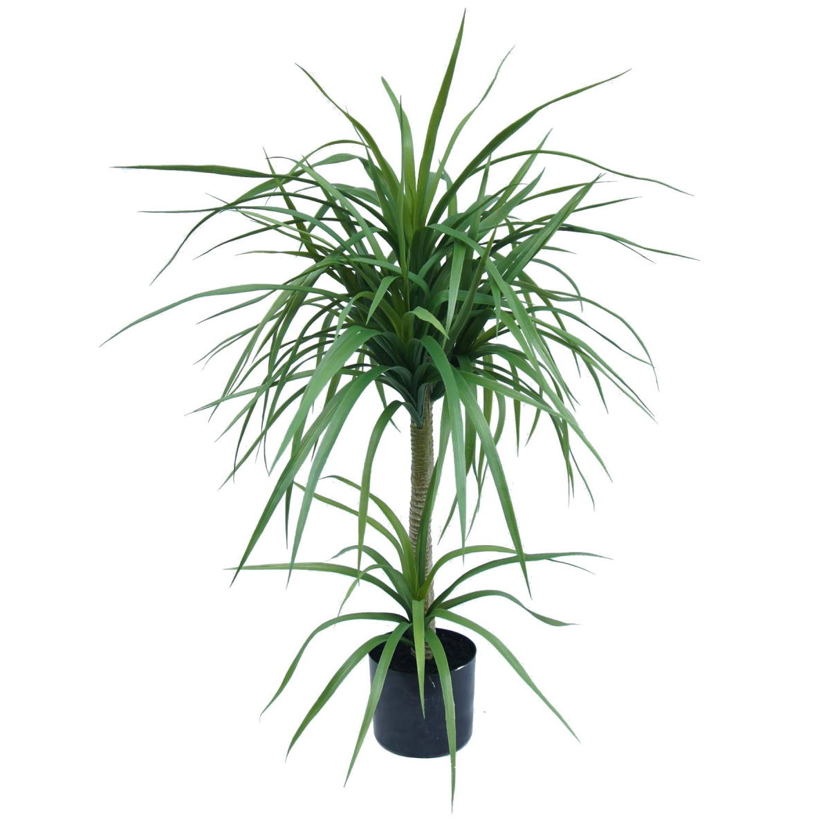 cortex-london-kew-double-artificial-dracaena-plant-90cm-black-plastic-pot