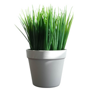 cortex-london-york-22cm-artificial-grass-plant