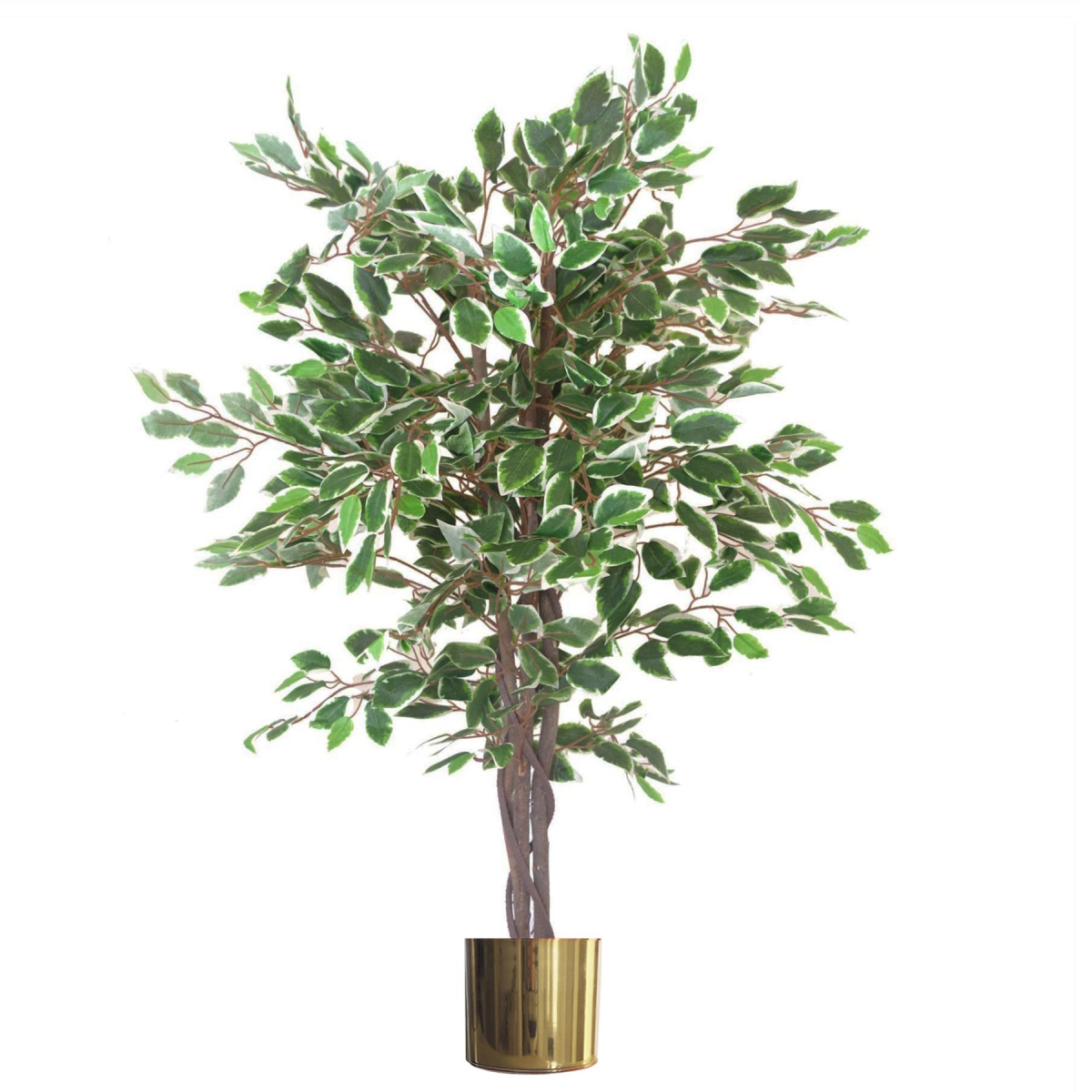 cortex-london-kensington-130cm-white-edge-ficus-artificial-tree-gold-metal-planter