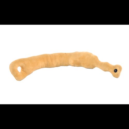 cortex-london-york-neck-massager-two-speed-fleece-memory-foam