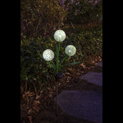cortex-london-bath-solar-allium-bloom-yellow-allium-blooms