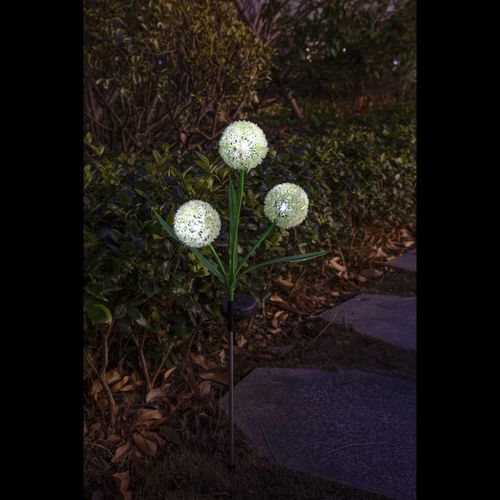 cortex-london-bath-solar-allium-bloom-yellow-allium-blooms