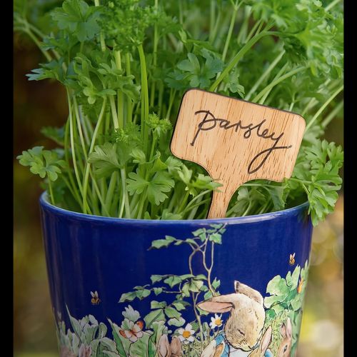 cortex-london-kew-plant-signs-with-pen-set-of-50