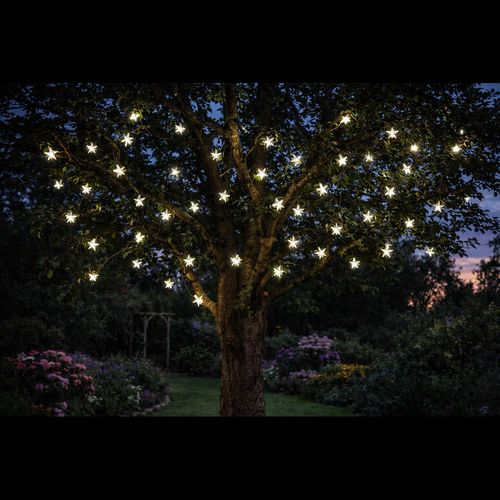 cortex-london-windsor-star-solar-garden-lights-set-of-50